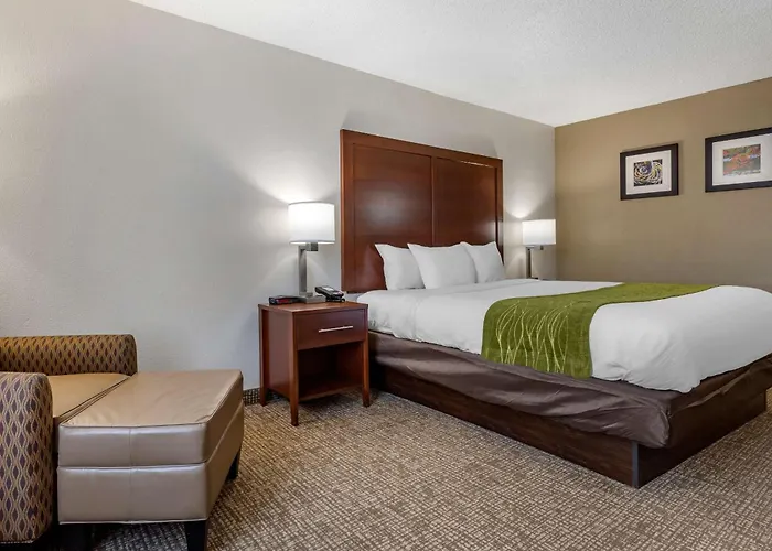 Comfort Inn