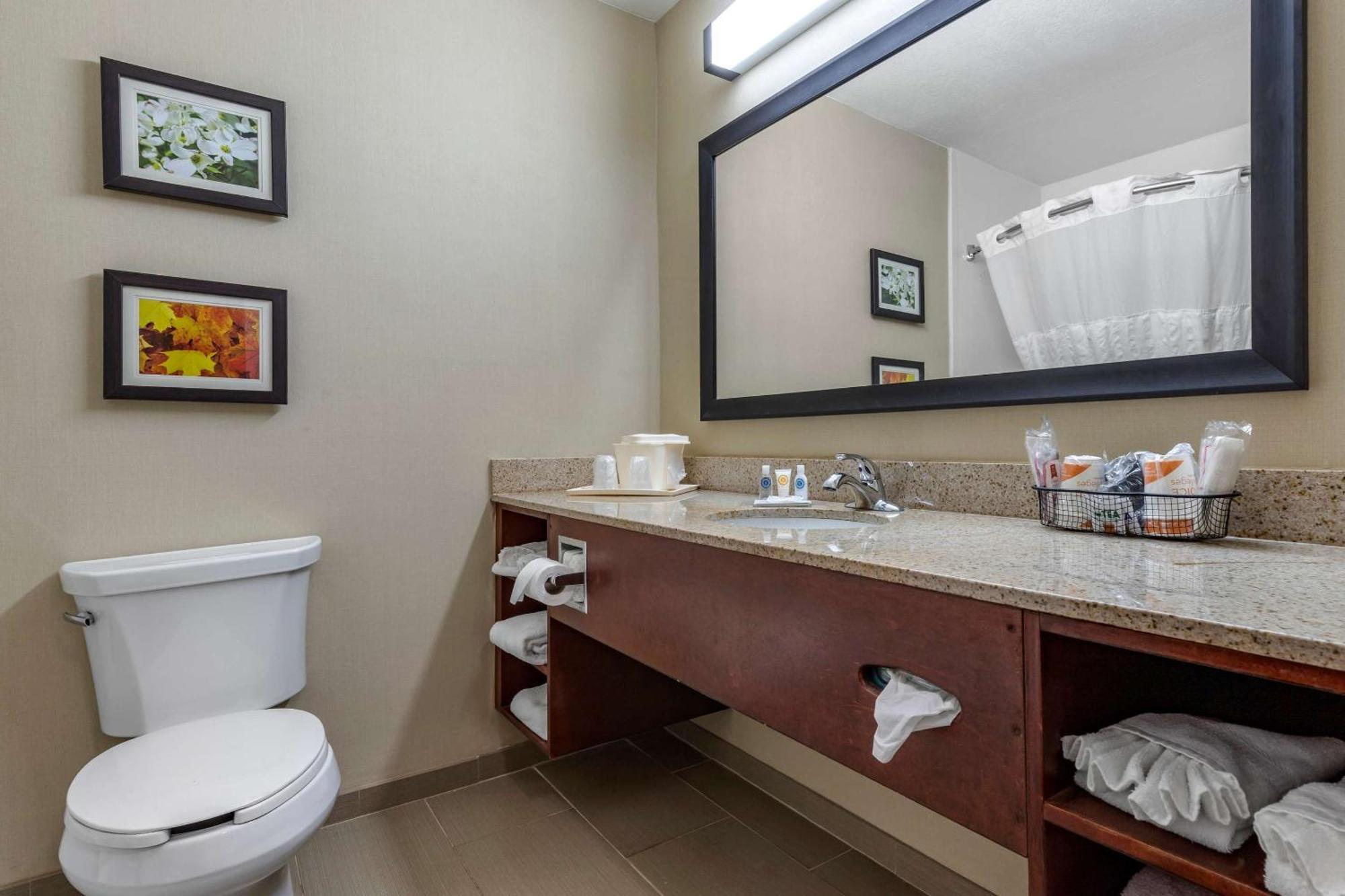 Comfort Inn Shelby